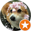 BBausE B profile picture