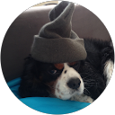 Karel Vanormelingen profile picture